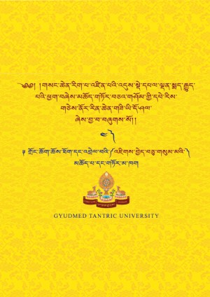 གྲོང་ཆོག་ཆོས་ཐོག་གི་འཇིགས་བྱེད་བཅུ་གསུམ་མ། ཆ་ད།