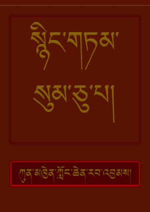 སྙིང་གཏམ་སུམ་ཅུ་པ།