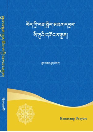 བརྡ་སྤྲོད་མཐའ་དཔྱད་སི་ཏུའི་དགོངས་རྒྱན།