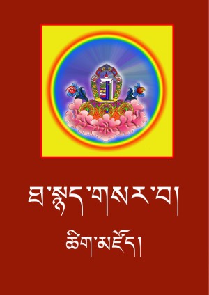 ཐ་སྙད་གསར་པའི་ཚིག་མཛོད།