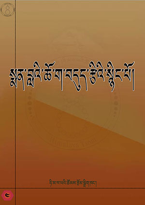 སྨན་བླའི་ཆོ་ག་བདུད་རྩིའི་སྙིང་པོ།