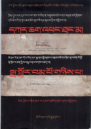 དཀར་ཆག་འཕང་ཐང་མ་དང་སྒྲ་སྦྱོར་བམ་གཉིས།