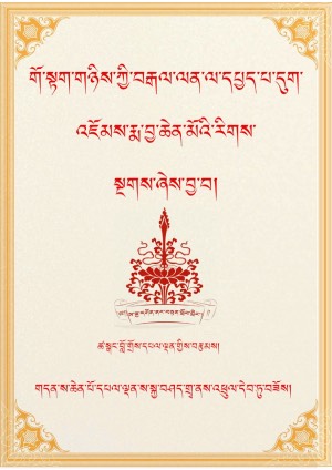 གོ་སྟག་གི་བརྒལ་ལན་ལ་དཔྱད་པ།