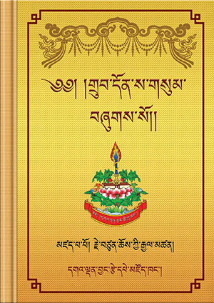 རྗེ་བཙུན་པའི་གྲུབ་དོན་ས་གསུམ།