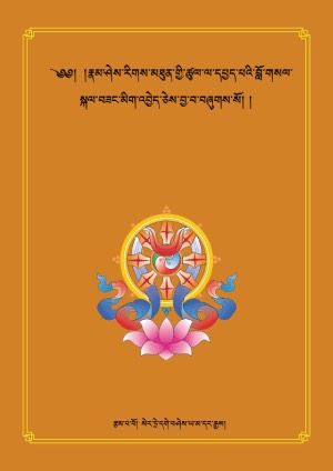རྣམ་ཤེས་རིགས་མཐུན་ལ་དཔྱད་པ།