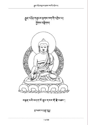 རྒྱུན་འདོན་གཟུངས་ཁག་གི་འགྲེལ་པ།