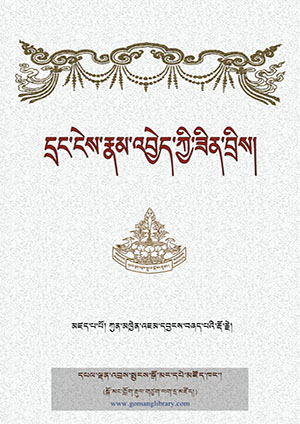 དྲང་ངེས་རྣམ་འབྱེད་ཀྱི་ཟིན་བྲིས།