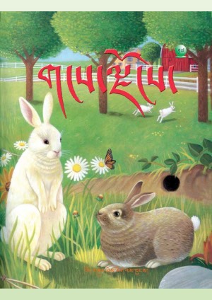 གངས་ལྗོངས། ཙ