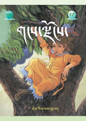 གངས་ལྗོངས། ཛ