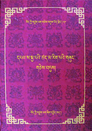 དཔལ་སྐྱ་པའི་ཚད་མ་རིག་པའི་གཞུང་གཅེས་བཏུས། ཝ།