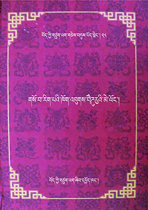 གསོ་བ་རིག་པའི་ཁོག་འབུགས་བཻཌཱུརྱའི་མེ་ལོང་། ས།