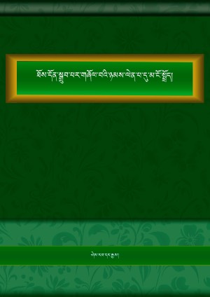 ཉམས་ལེན་པ་དུ་མ་ངོ་སྤྲོད།